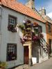 Cottage floral display Tanhouse Brae